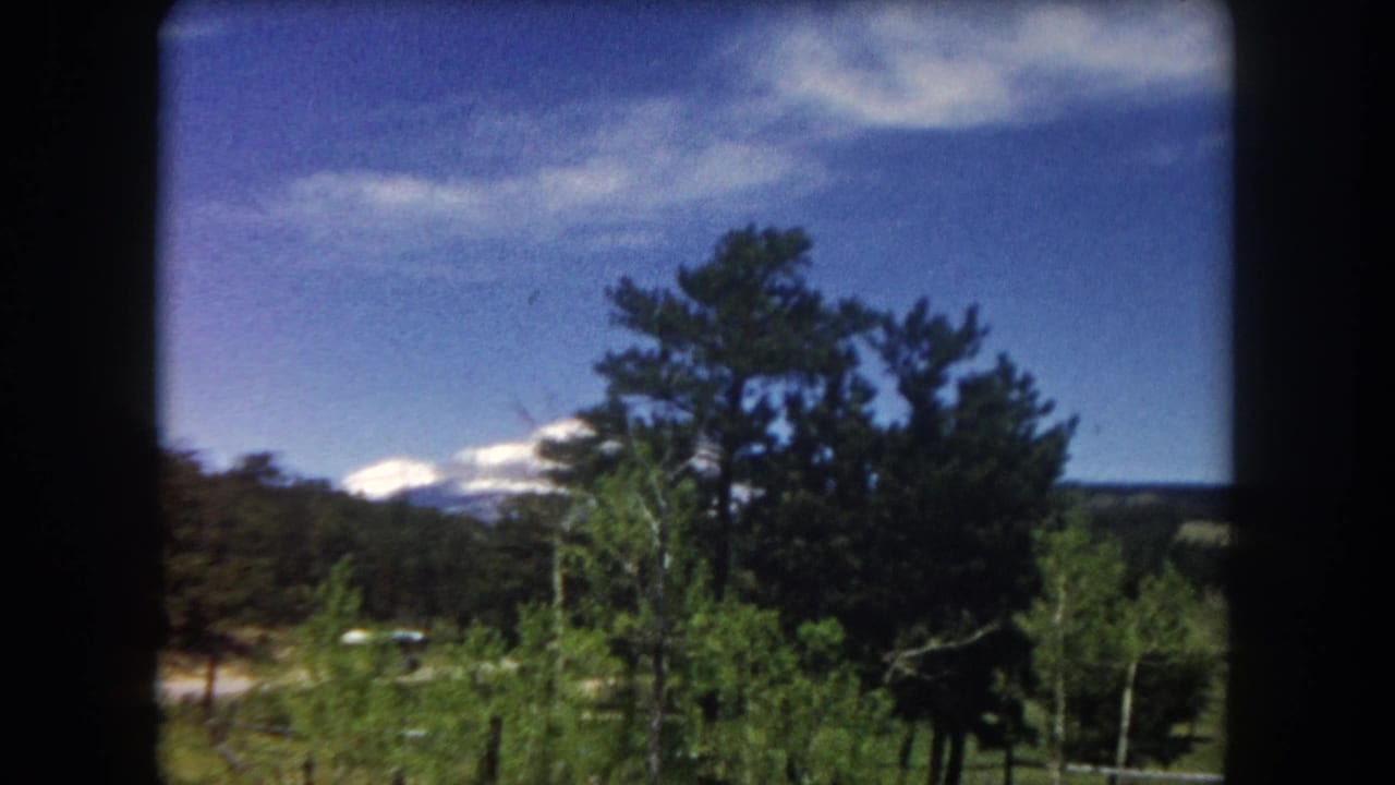 1962 8mm frame showing a snow-capped Colorado mountain beyond mixed pine and lighter-leaved trees over a green meadow in Summit County, filmed from a vehicle window.