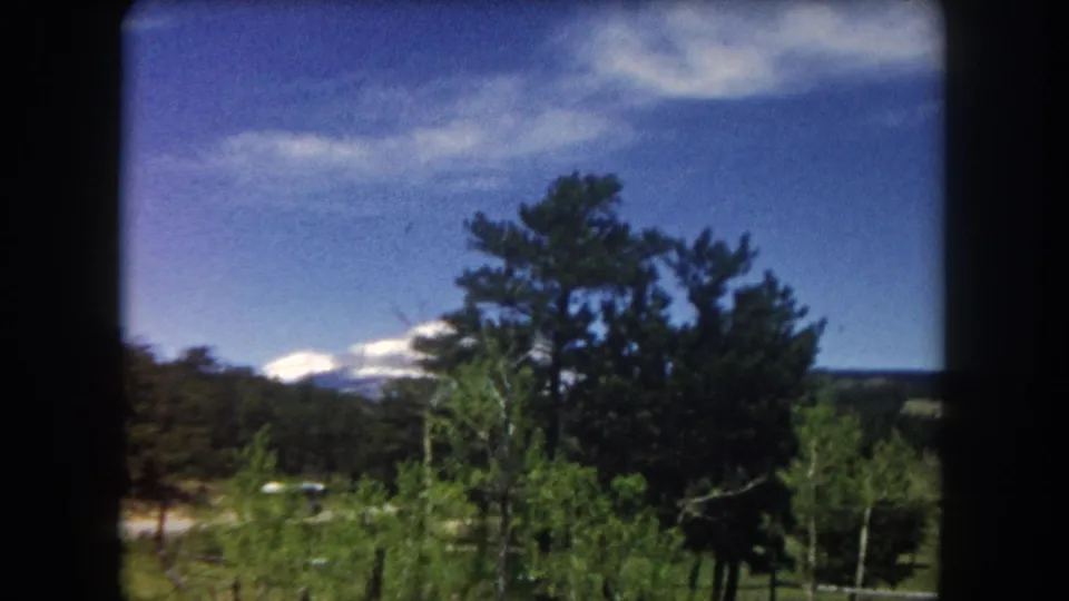 1962 8mm frame showing a snow-capped Colorado mountain beyond mixed pine and lighter-leaved trees over a green meadow in Summit County, filmed from a vehicle window.
