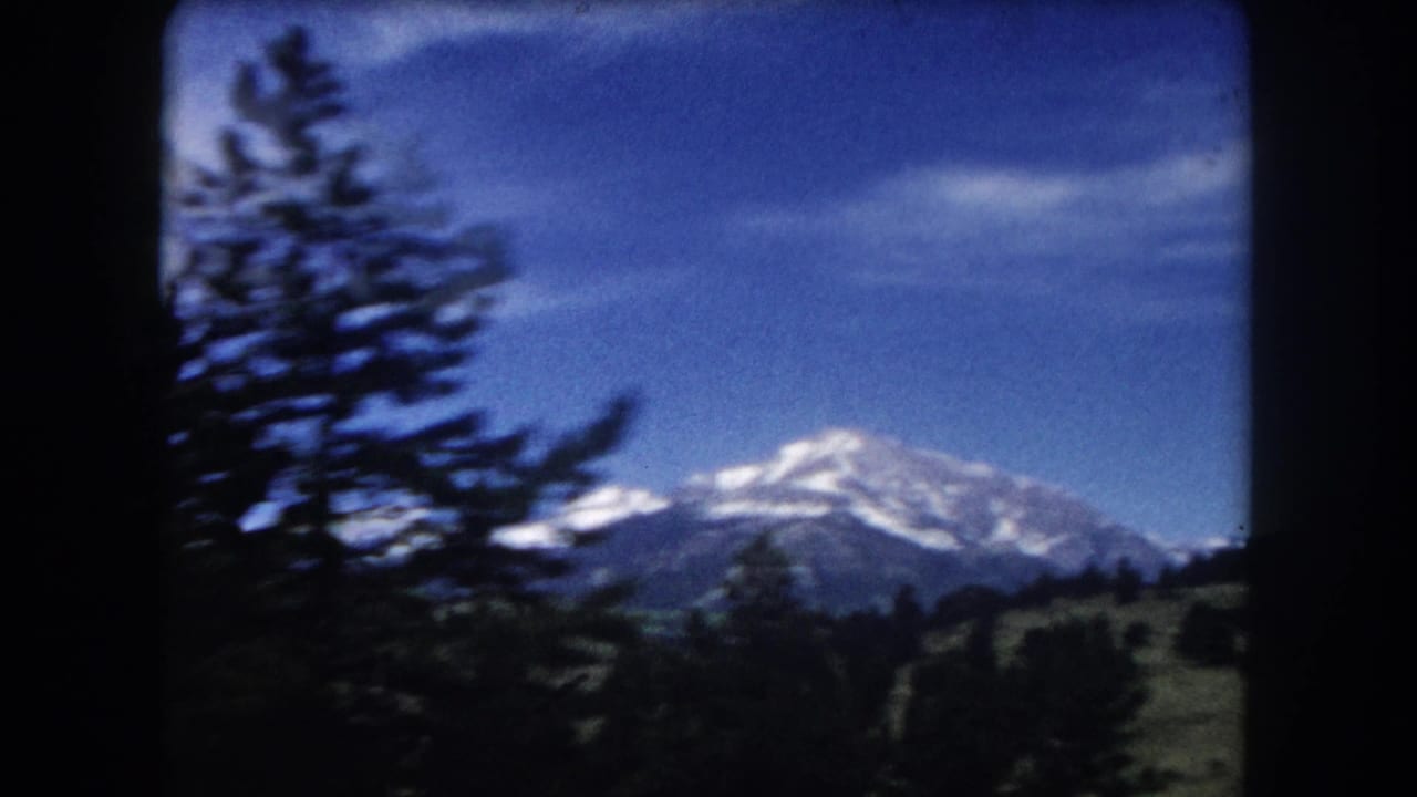 Dark blurred pine tree fills right side of frame, snow-capped peak visible to the left, 8mm borders.