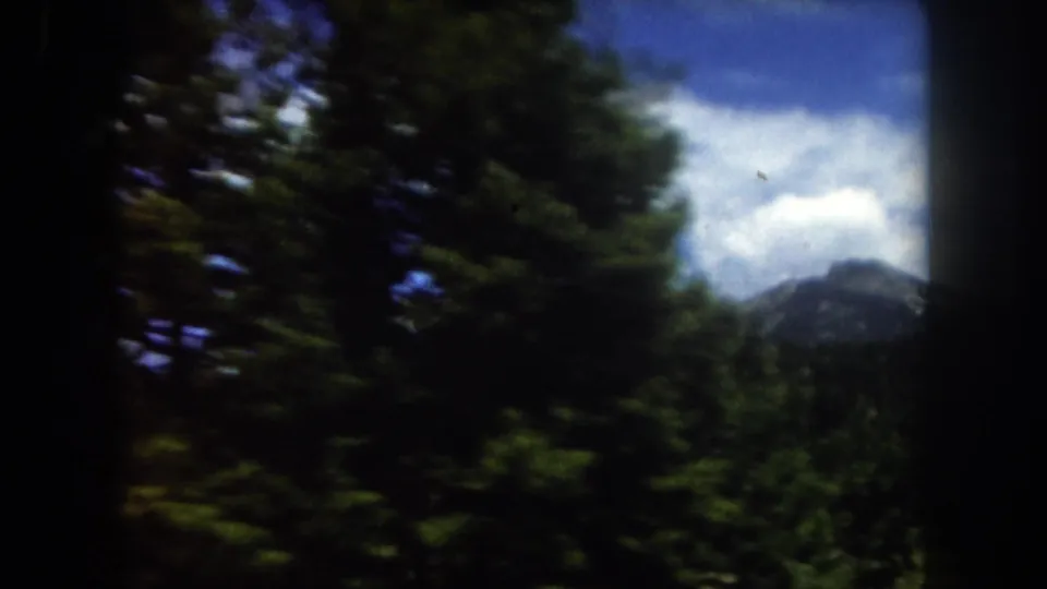 Low-angle 8mm shot through dense conifer canopy looking toward a mountain peak and scattered clouds, Summit County, Colorado, circa 1962.