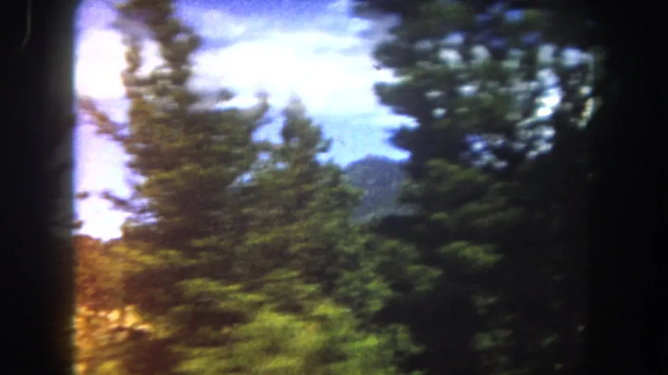 8mm panning shot through pine canopy with heavily overexposed sky and warm color flare at frame edges, Summit County, Colorado, circa 1962.