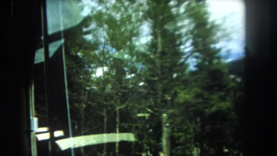 8mm frame circa 1962 showing motion blur through foliage as the viewpoint moves past trees, with a lens flare artifact, consistent with a moving vehicle shot in Colorado.