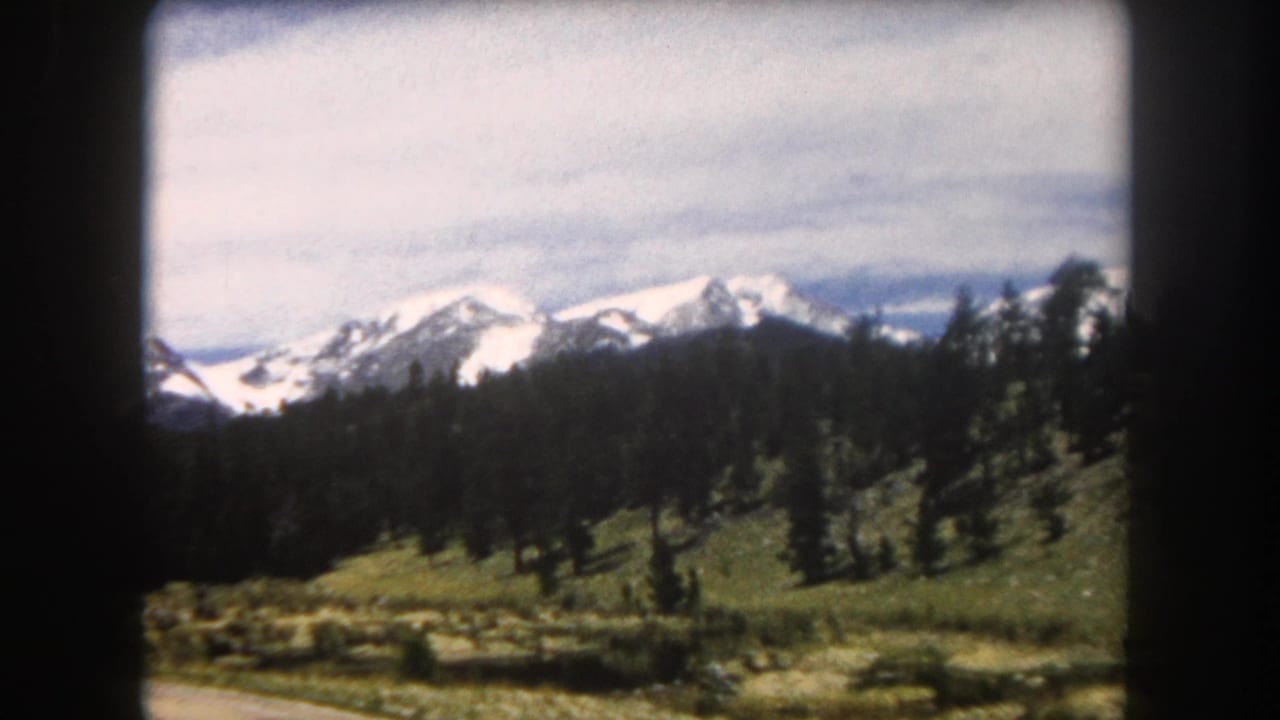 Snow-capped mountain peaks above an evergreen-forested slope and alpine meadow, with a dirt road visible and overcast sky.