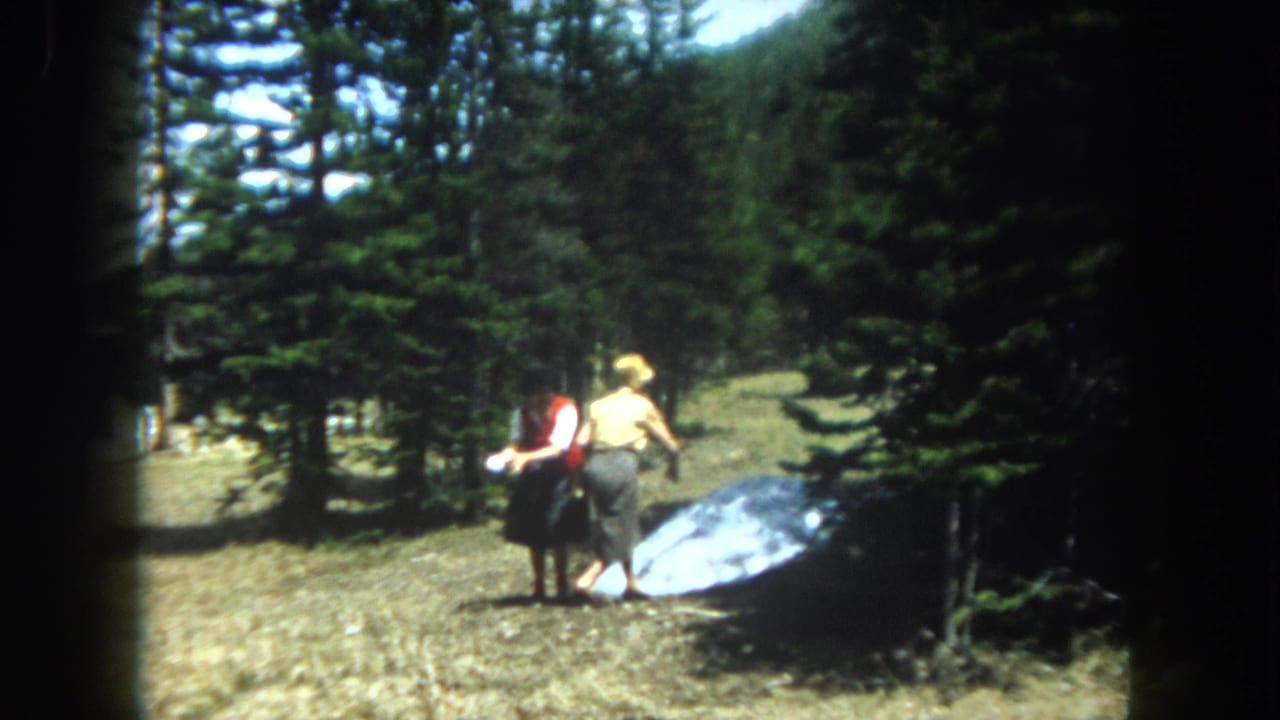 Two women seen from behind — one in a yellow top — approaching a large parabolic reflective metallic object resting on a grassy mountain slope bordered by pines.