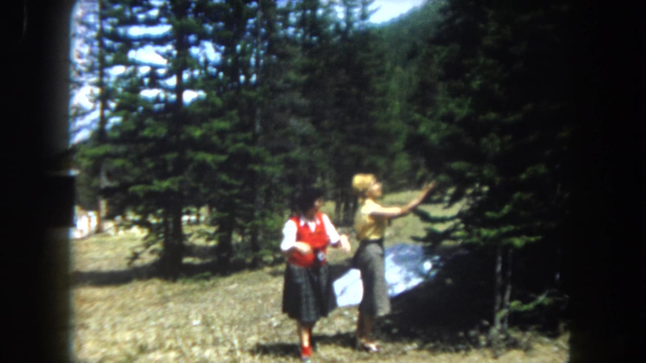 Two women in a mountain clearing among tall pines; one reaches toward the trees while the other in a red vest stands nearby, with a reflective surface on the ground.