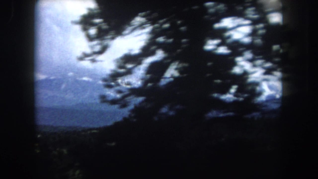 Dark pine branches silhouetted against an overexposed sky, with mountain slopes and a forested ridgeline in the background, heavy vignetting.