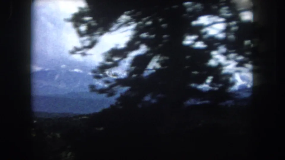 8mm home movie frame circa 1962, Summit County Colorado — pine branches fill the foreground against a bright sky and distant forested slopes.