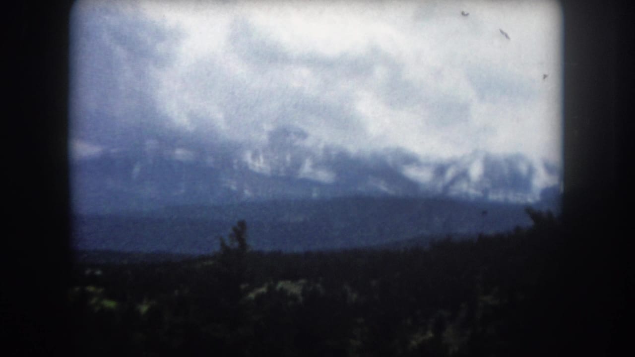 Snow-capped mountain peaks under heavy overcast clouds, with forested lower slopes and a lone conifer silhouette at the right edge.