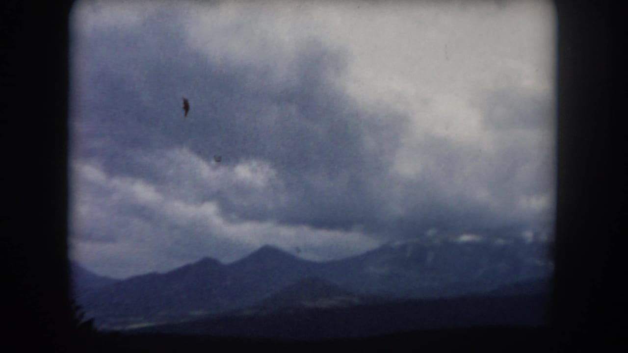 Cloudy mountain ridges with dark trees at the lower edge.
