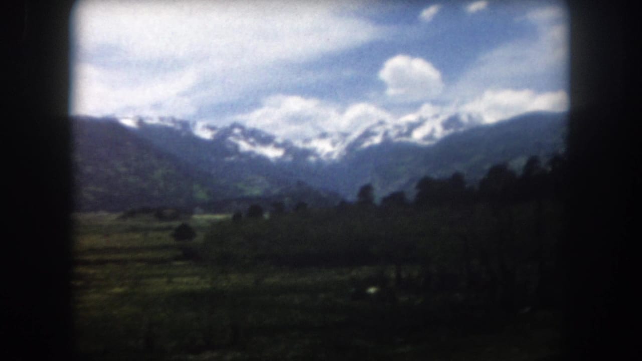 Distant snow-capped mountains above a green valley and dark forest under scattered clouds.
