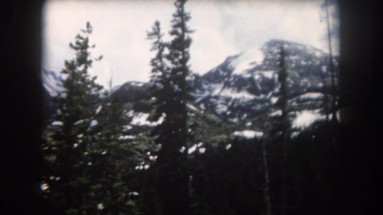 1962 Summit County, Colorado view of evergreens silhouetted against a bright snowy mountain slope and pale sky.