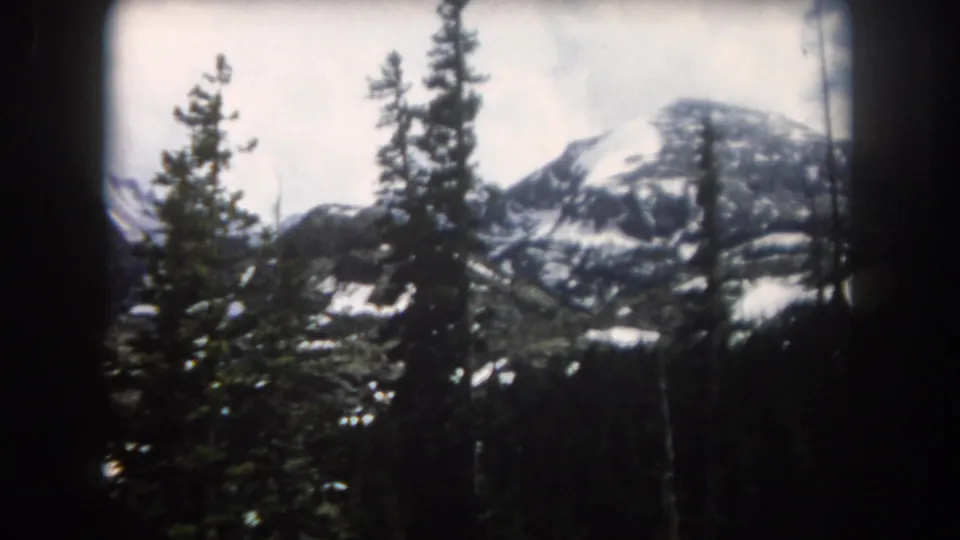 1962 Summit County, Colorado view of evergreens silhouetted against a bright snowy mountain slope and pale sky.