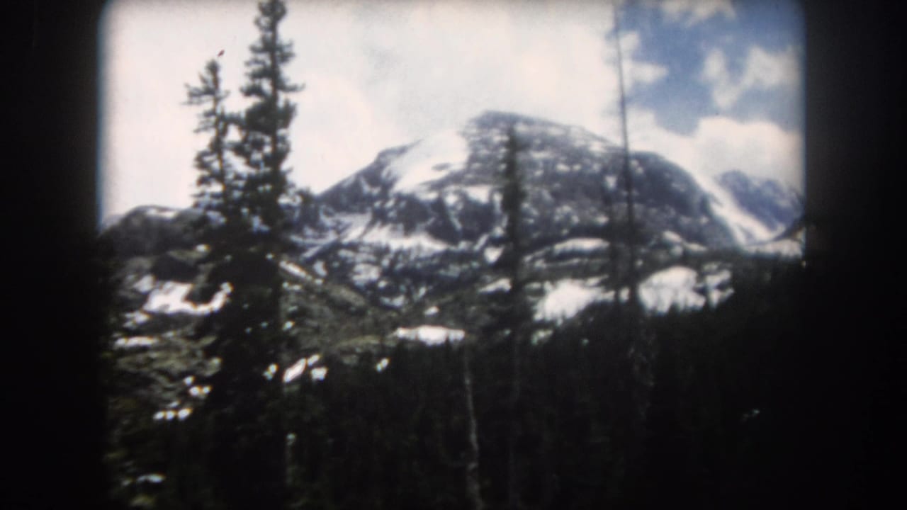 Snow-capped mountain peak behind evergreen trees and dark forest.