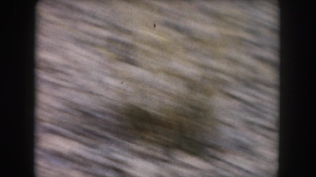 Blurred rocky hillside with motion streaking and dark film-frame borders.