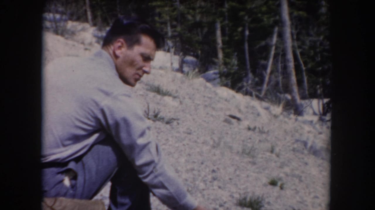 Crouching man on a rocky slope near pine trees.
