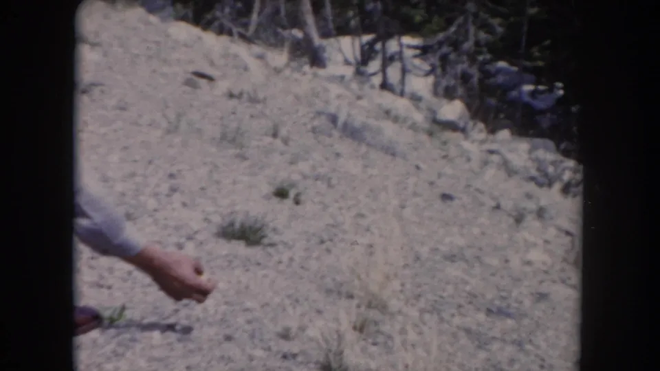 The man's hand reaches into the lower edge of the 1962 Summit County frame as the rocky slope and pine background remain visible.