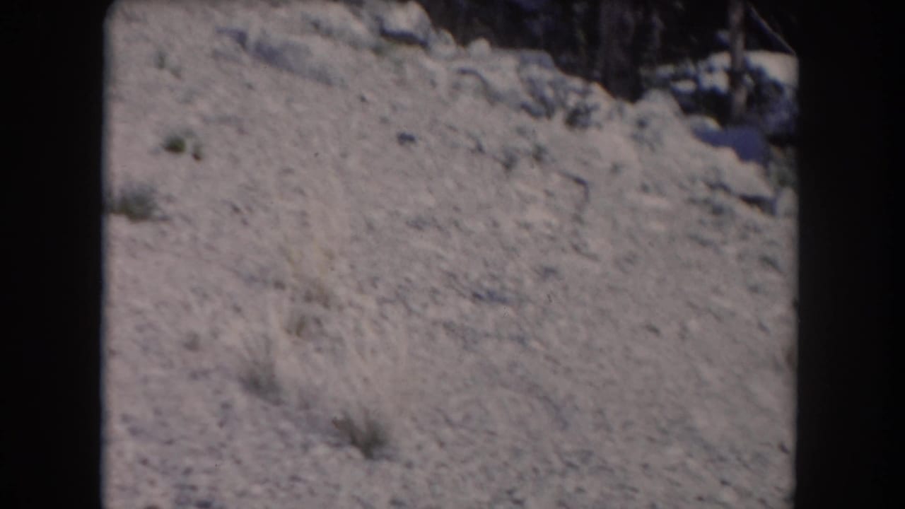 1962 8mm frame from Summit County, Colorado showing snow-covered ground, small shrubs, and a dark edge from the film scan.