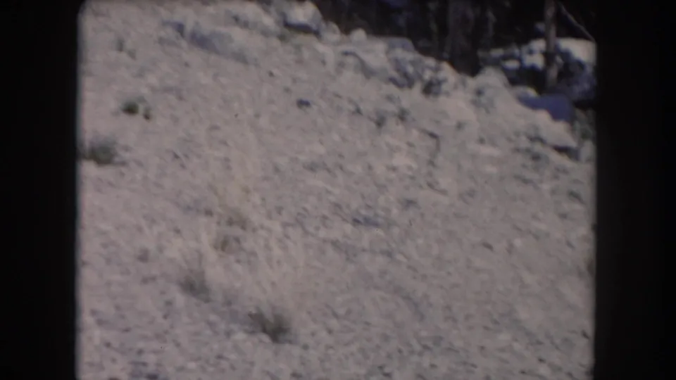 1962 8mm frame from Summit County, Colorado showing snow-covered ground, small shrubs, and a dark edge from the film scan.