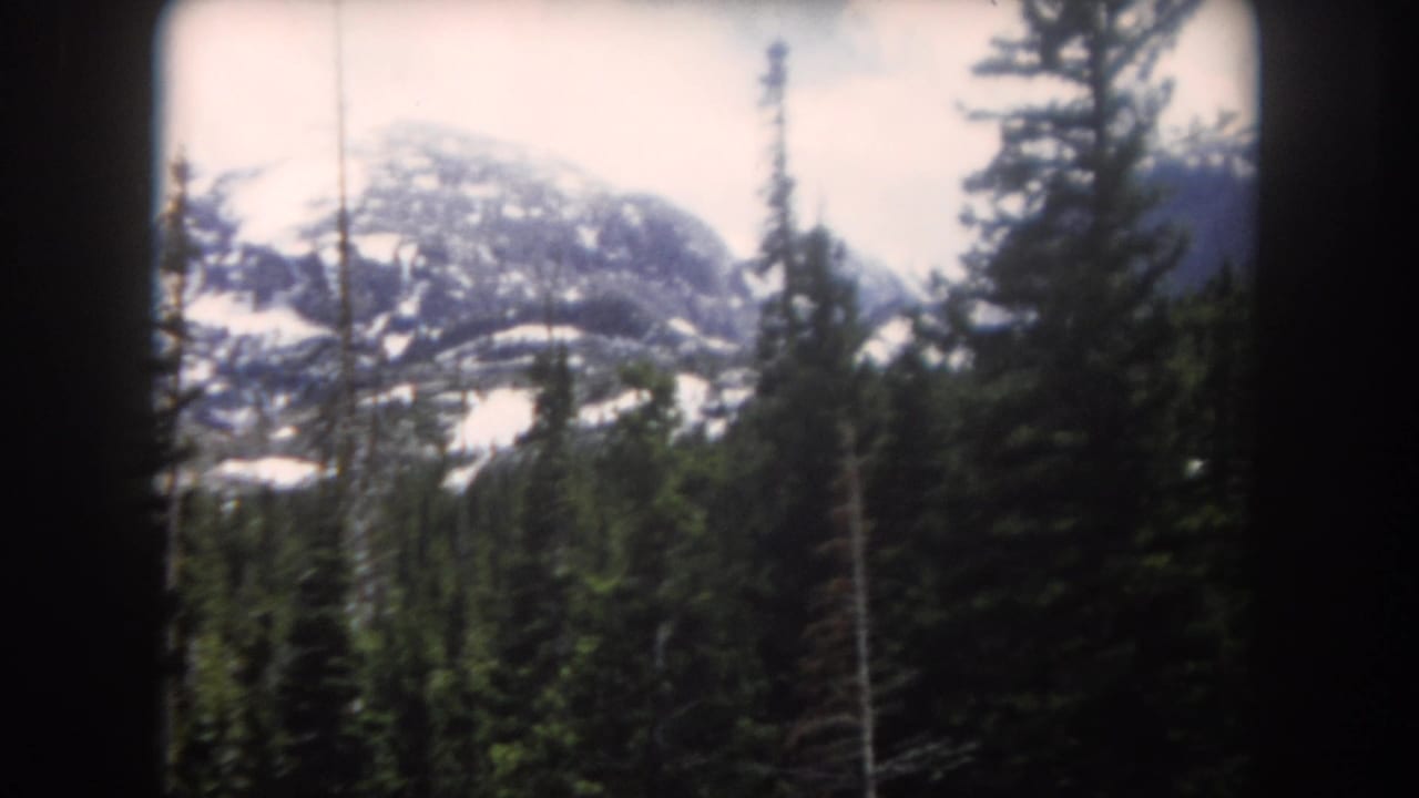 Evergreen trees frame a snow-dusted mountain ridge under a pale sky.