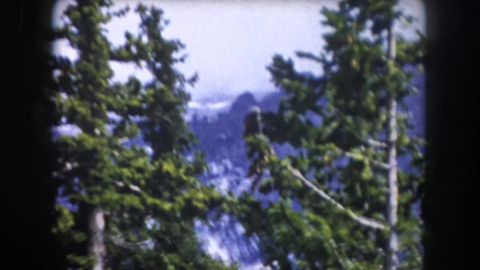 1962 Summit County, Colorado 8mm frame with dark rounded edges, conifer limbs, blue sky, and distant snow-streaked mountains.