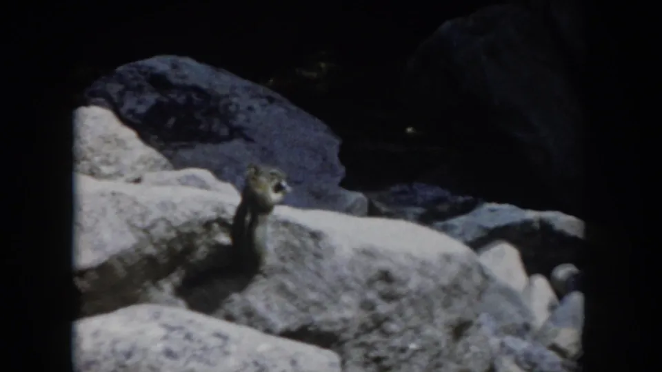 A chipmunk is seen on large boulders in the Colorado mountain setting, framed in grainy 8mm home-movie footage.