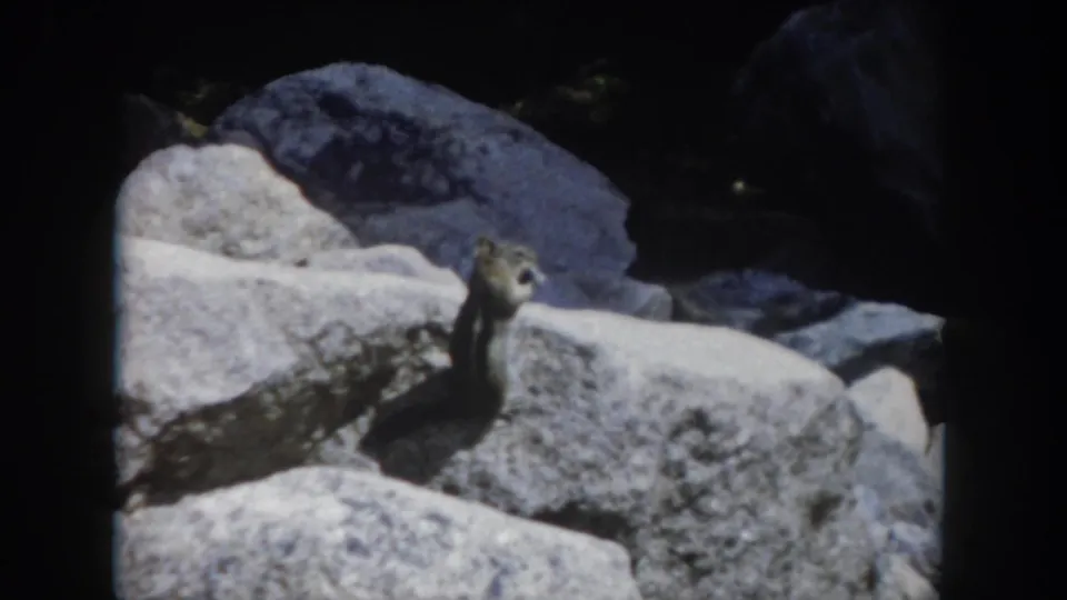 1962 Summit County, Colorado 8mm still showing a chipmunk standing alert amid pale rocks and deep boulder shadows.