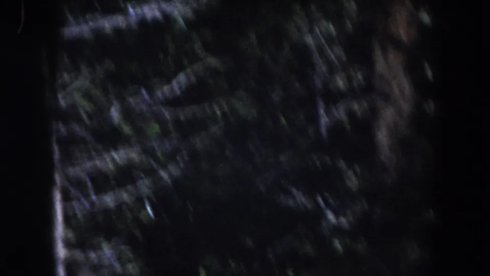 1962 Summit County 8mm frame showing dark roadside forest with motion-blurred tree trunks and foliage.