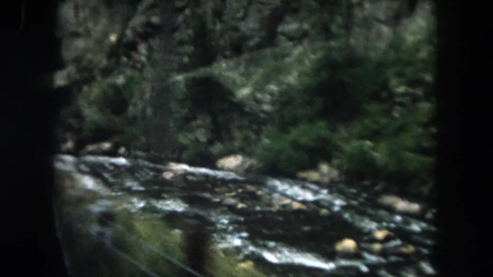 A soft 8mm frame from the moving car shows a Colorado mountain stream, dark window edge, trees, stones, and a roadside rail.