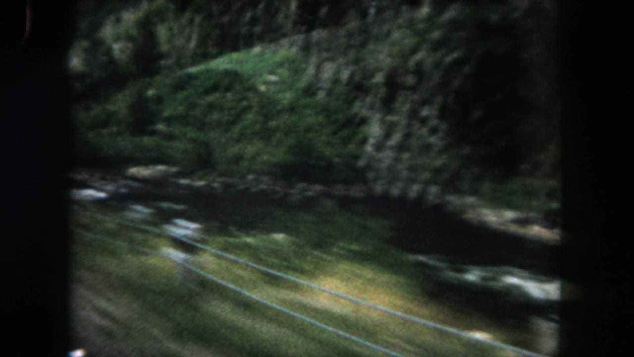 Blurred roadside view of a forested river and wire fence from a moving vehicle.