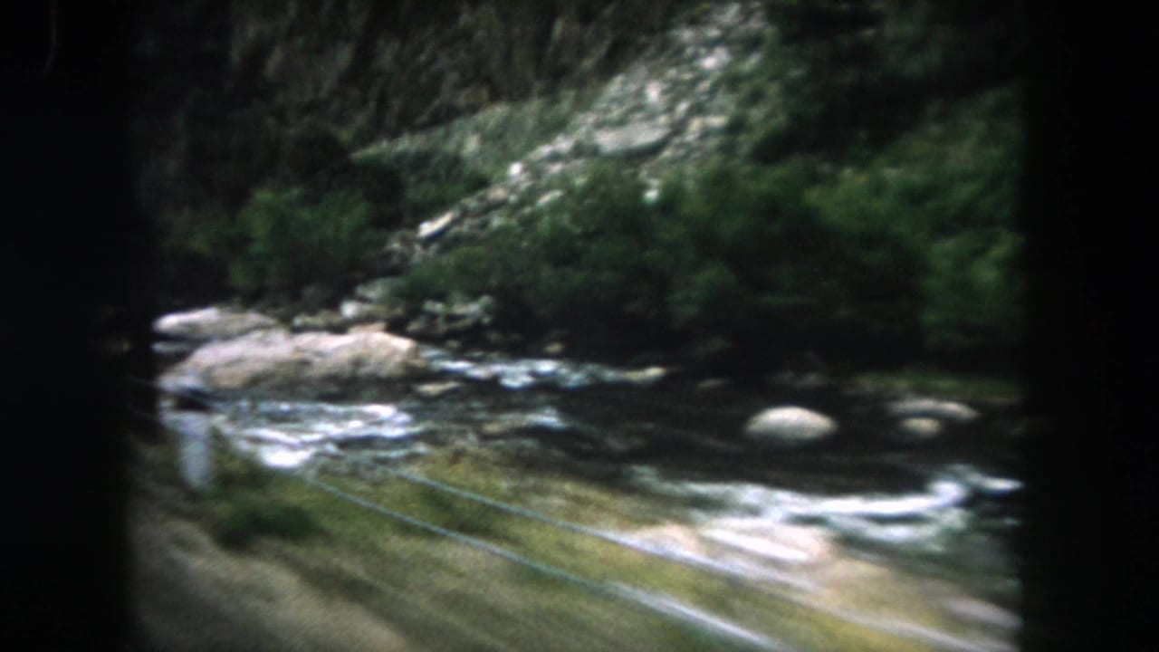 Mountain stream flowing over rocks beneath a wooded slope.