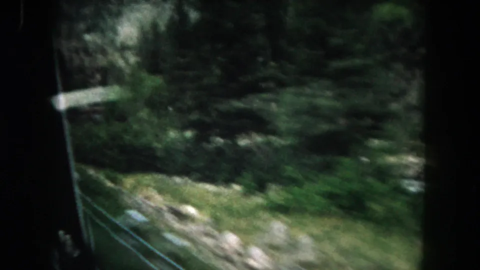 Moving 8mm view in Summit County, Colorado, showing blurred roadside vegetation and forested terrain.