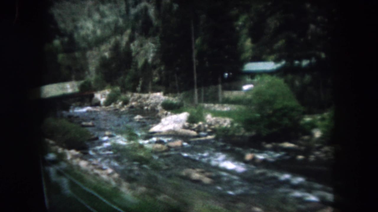 Rocky stream and evergreen bank seen from a moving vehicle.