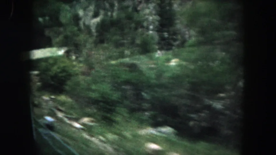 1962 Summit County car-ride footage showing a blurred green forest and roadside through the dark frame of a vehicle window.