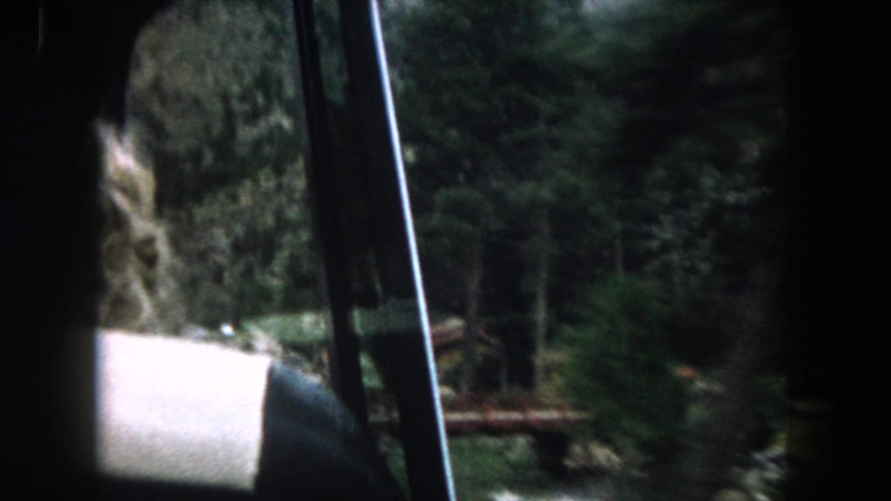 Car window view of a forest road with a passenger's arm or shoulder in the foreground.
