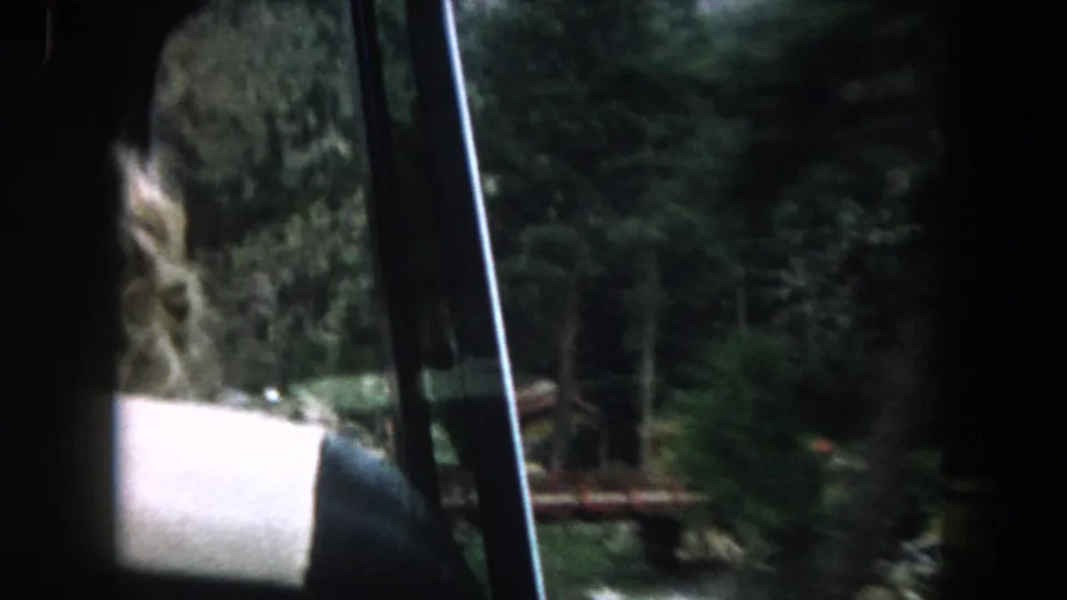 A passenger-side view through the car window in Summit County, with a partially visible arm or shoulder against wooded roadside scenery.