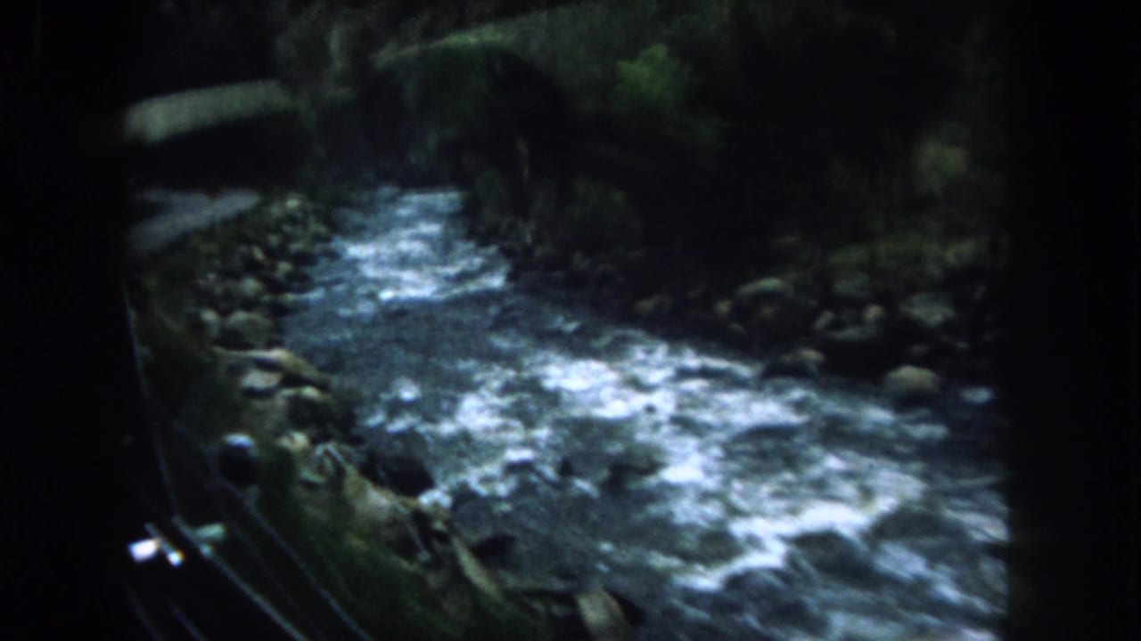 Rushing river with whitewater, rocks, and dark wooded banks seen from a moving vehicle.