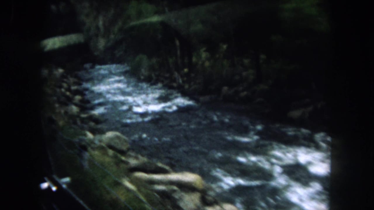 Fast river bends past rocks and trees with a dark vehicle edge in the foreground.