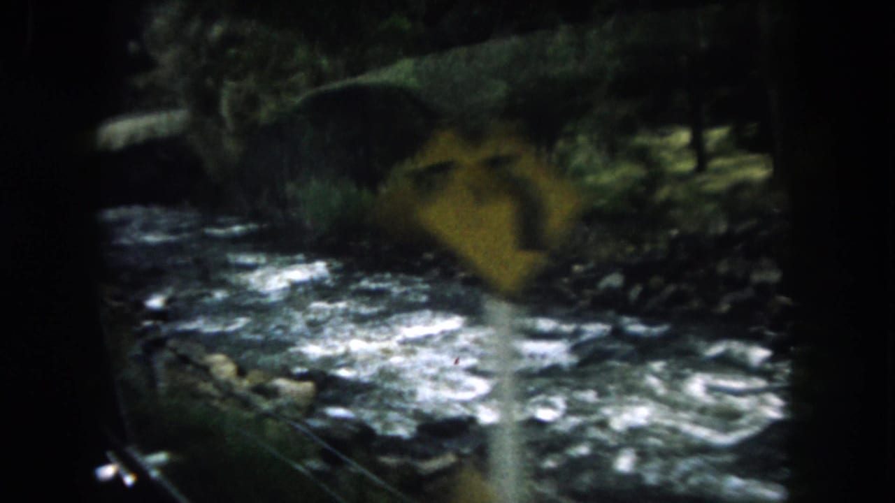 Car-window view of a rushing river beside a wooded mountain road with a yellow curve sign.