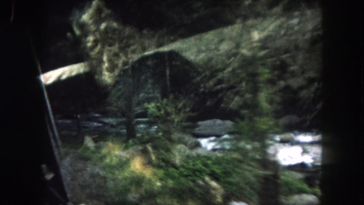 Forest and stream seen through dark car-window framing while the vehicle moves.
