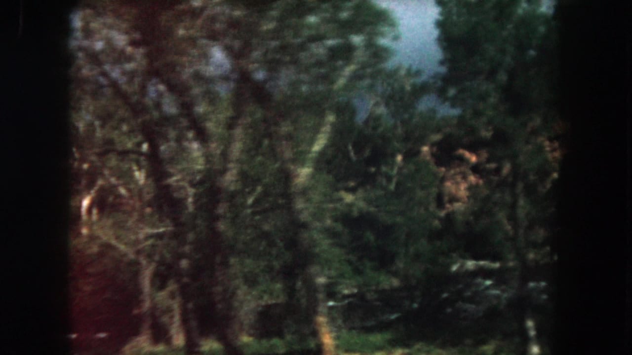 Wooded Summit County mountain view with trees, rocky outcrops, and visible 8mm gate shadow from the moving camera.
