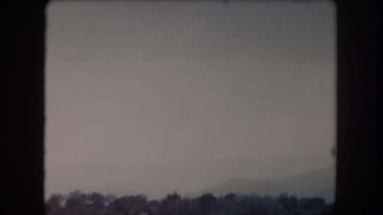 Cloudy sky over a dark distant treeline with a faint airborne speck.