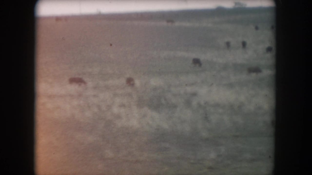 Pale frozen ground with indistinct dark shapes and heavy film grain.