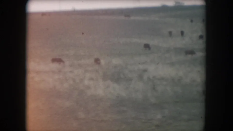 1962 Summit County home-movie frame showing a washed, possibly frozen landscape with soft dark shapes and visible 8mm grain.