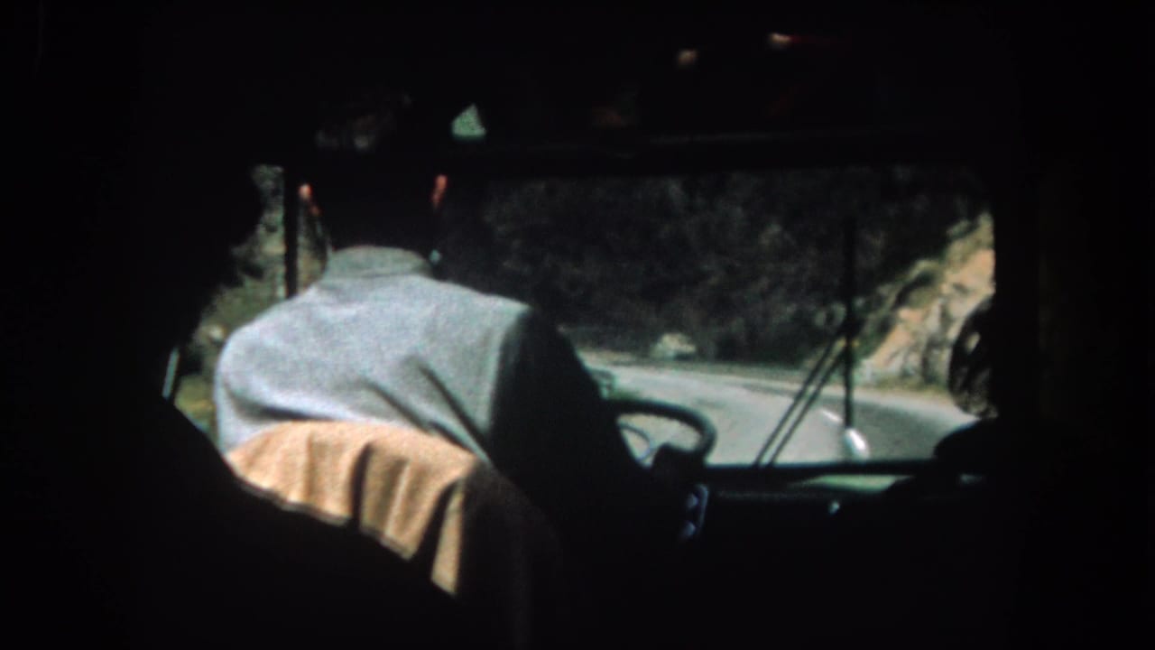 Bus driver seen from behind through a dark interior, with a winding mountain road ahead.