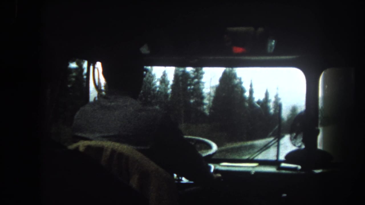 Driver seen from behind inside a bus on a forested mountain road.