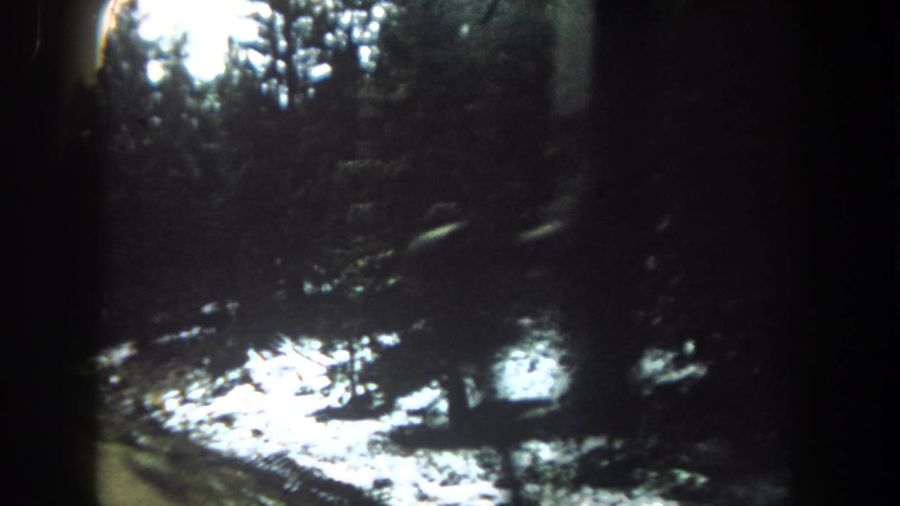 1962 Summit County 8mm frame looking from inside a vehicle toward dark evergreens and bright snow patches beside the road.