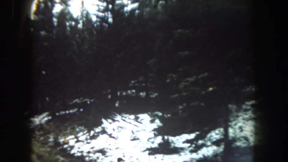 A moving vehicle view in Summit County shows dark conifers, wet or snowy ground, and bright glare on an overcast winter roadside.