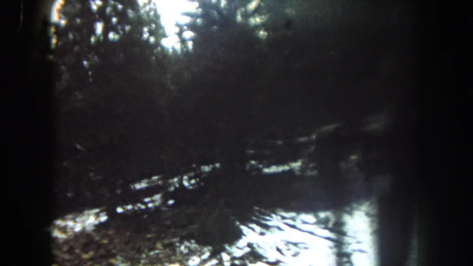 The 8mm frame shows a soft, dark car-window perspective on evergreen trees and snow patches during a 1962 Colorado winter drive.
