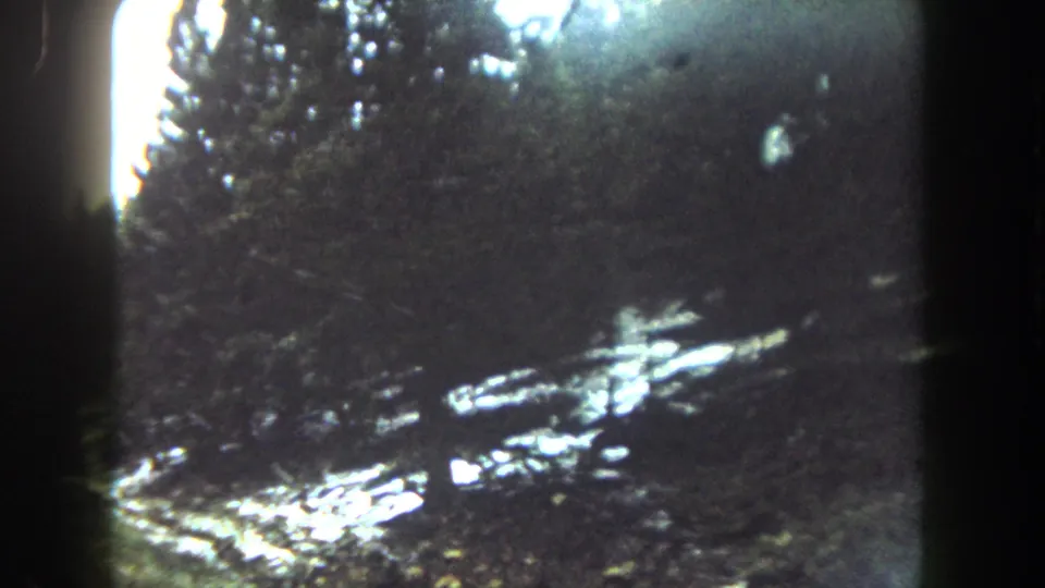 A final 1962 Summit County frame shows a darkened window view of conifers, roadside snow, and bright exposure bloom on the winter ground.