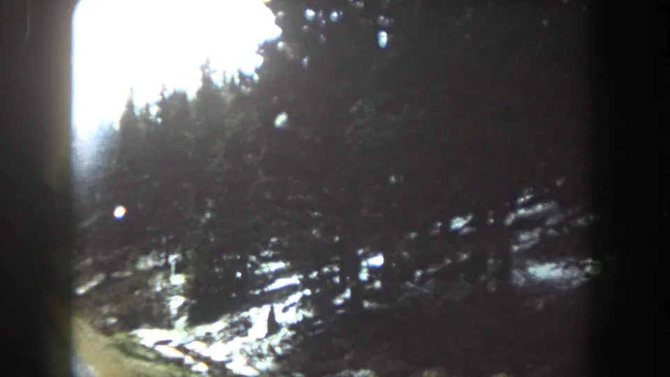 Dark 8mm frame of a forested Summit County roadside, with scattered snow and car-window framing visible.